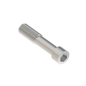 Screw