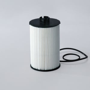 Image of P550824