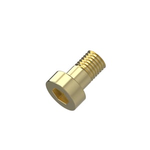 Screw
