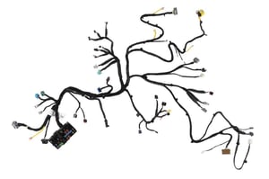 Image of 42717321