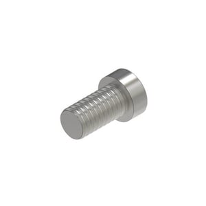 Bolt