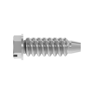 Screw