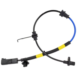 Image of BRAB604