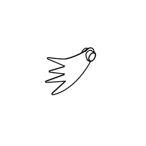 Finger