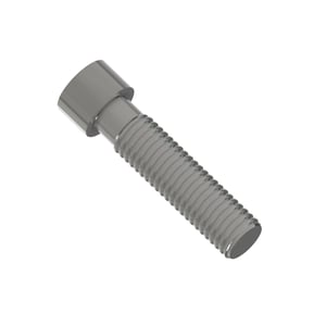 Screw