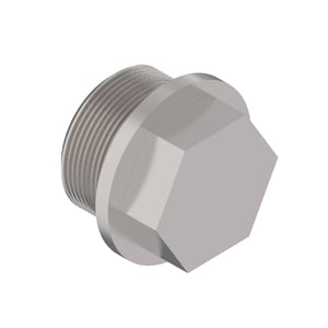 Fitting Plug