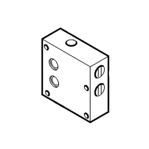 Manifold