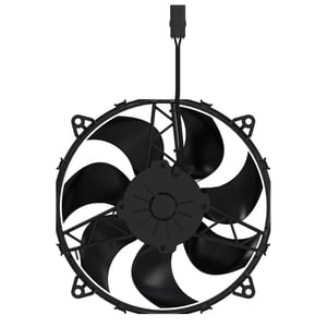 Fan