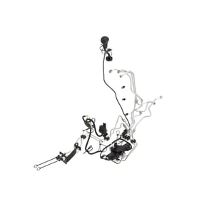 Image of BXX10846