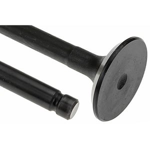Exhaust Valve