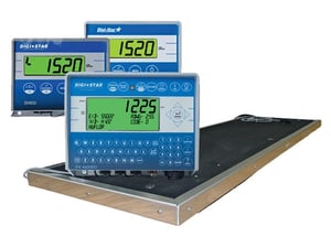 Image of LOW PROFILE SCALE SYSTEM