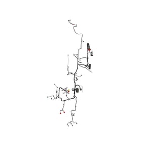 Image of AUC14900