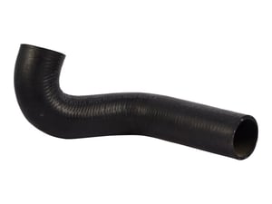 HOSE, LOWER RADIATOR