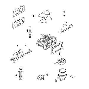 Image of AUC13732