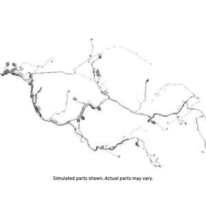 Image of 42575449