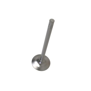 Exhaust Valve