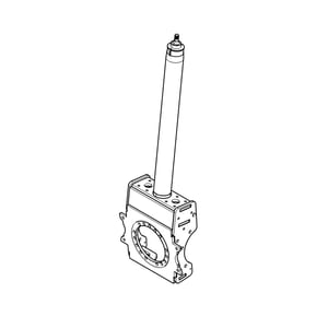 Leg