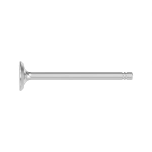 Exhaust Valve