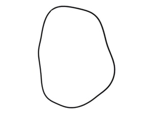 O-RING