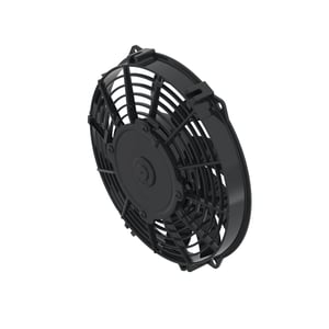 Image of AUC11002