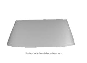 Image of 20979218