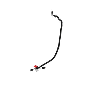 Image of AUC11267