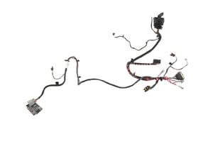Image of 42702317
