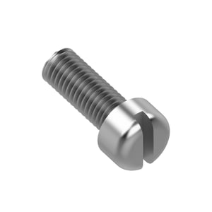 Screw