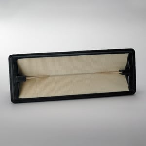 Donaldson P629641 Engine Air Filter