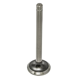 Exhaust Valve