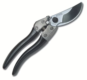 Image of pp80