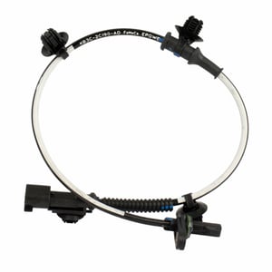 Image of BRAB519