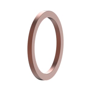 Sealing Ring
