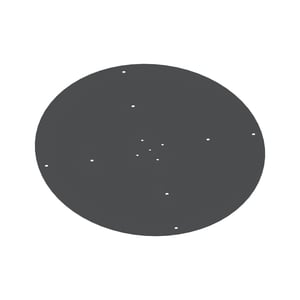 Disk