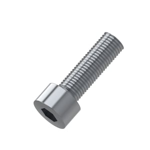 Screw