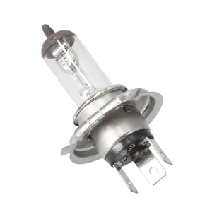 Image of 175613FP