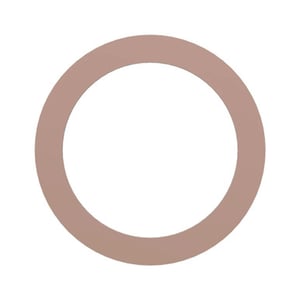 Sealing Ring