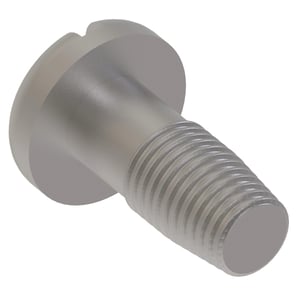 Screw