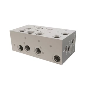 Manifold