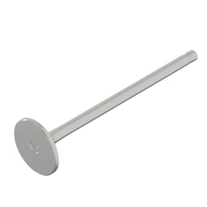 Intake Valve