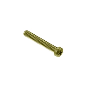 Screw