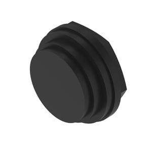 Sight Plug