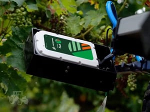 Image of WEEDSEEKER 2