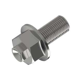 Screw