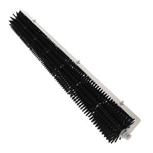 Image of BXE11395
