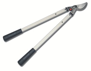 Image of pl10