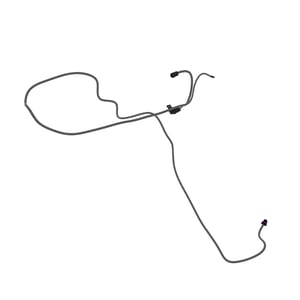 Image of AUC14237