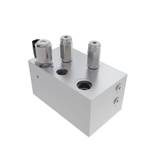 Manifold