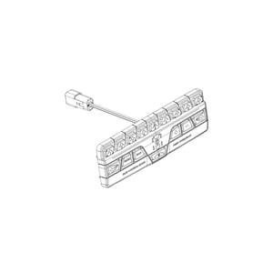 Elastomeric Keypad