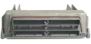 Image of 19195296
